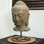 Vive Zen Master Suite For 4 Guests